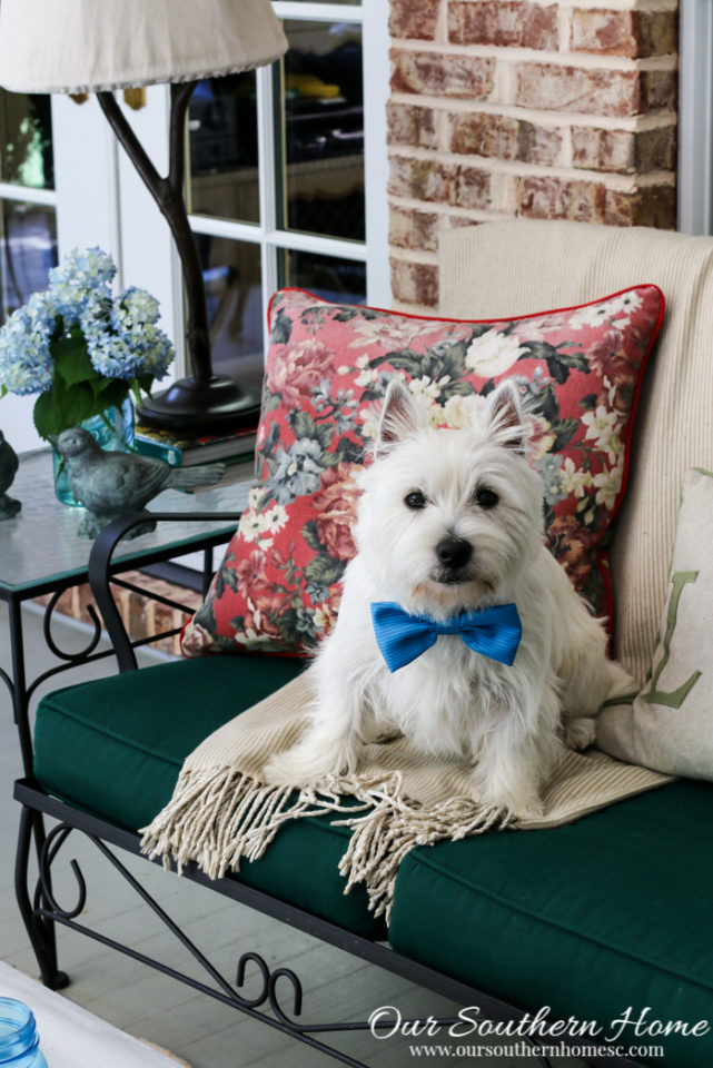 Summer on the screened porch by Our Southern Home #porches #screenedporch