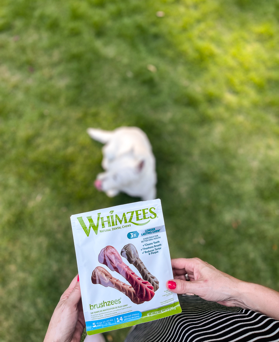dog chews