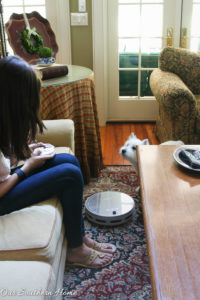 Robotic vacuum, Bobsweep, to the rescue and how it in our home! #ad #bobsweep #bObiPet