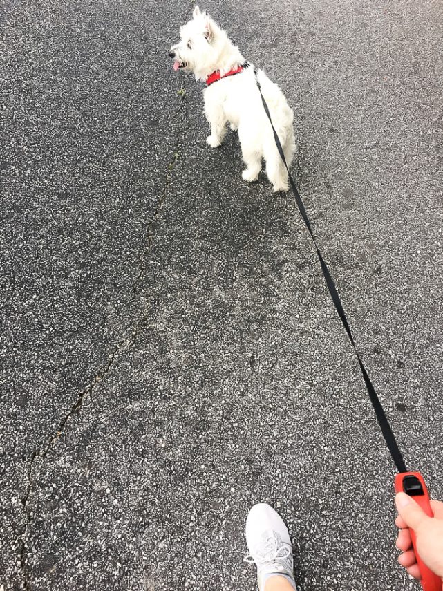 Being an Empty Nester means getting more active and maintaining my health by staying active and making good choices. #ad #emptynest 