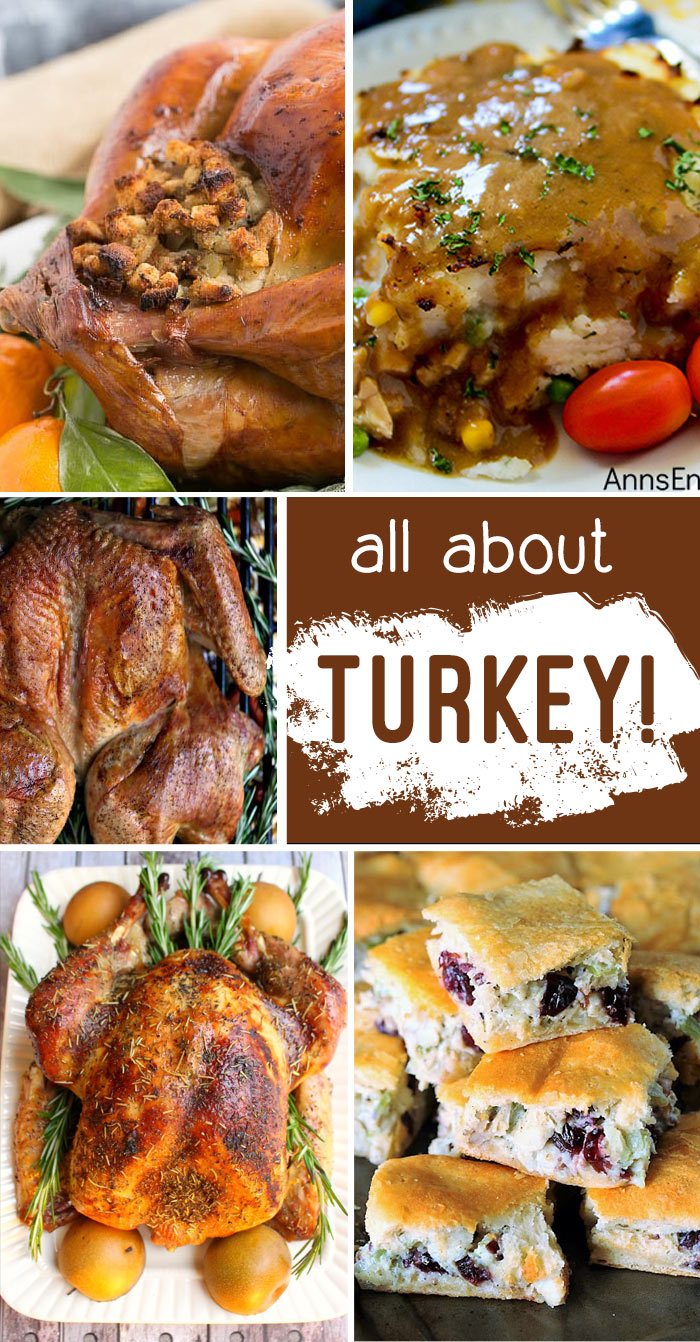 Turkey Recipes