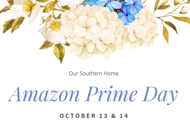 amazon prime day graphic