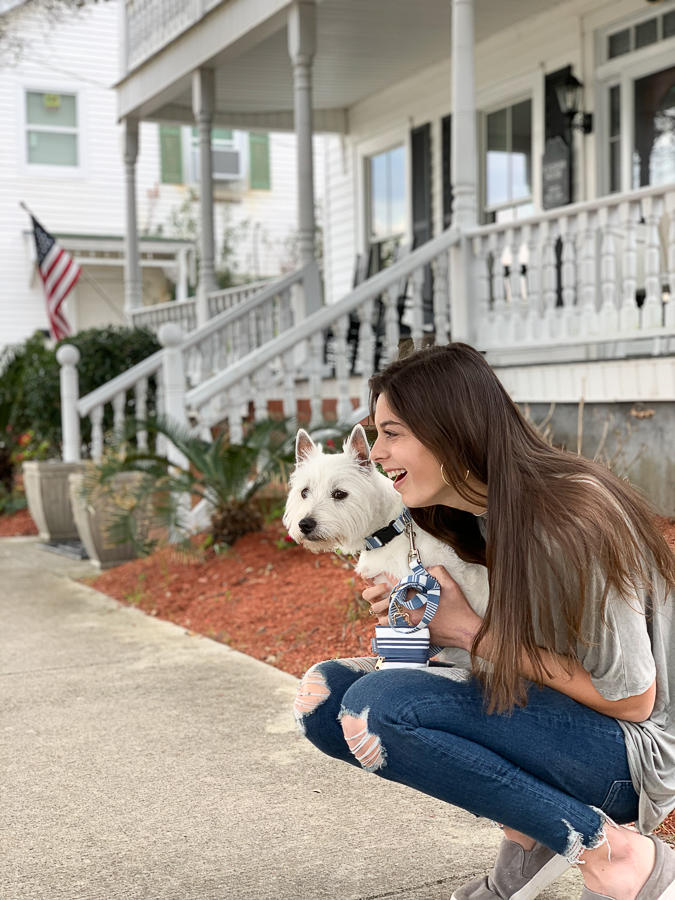 westie with girl