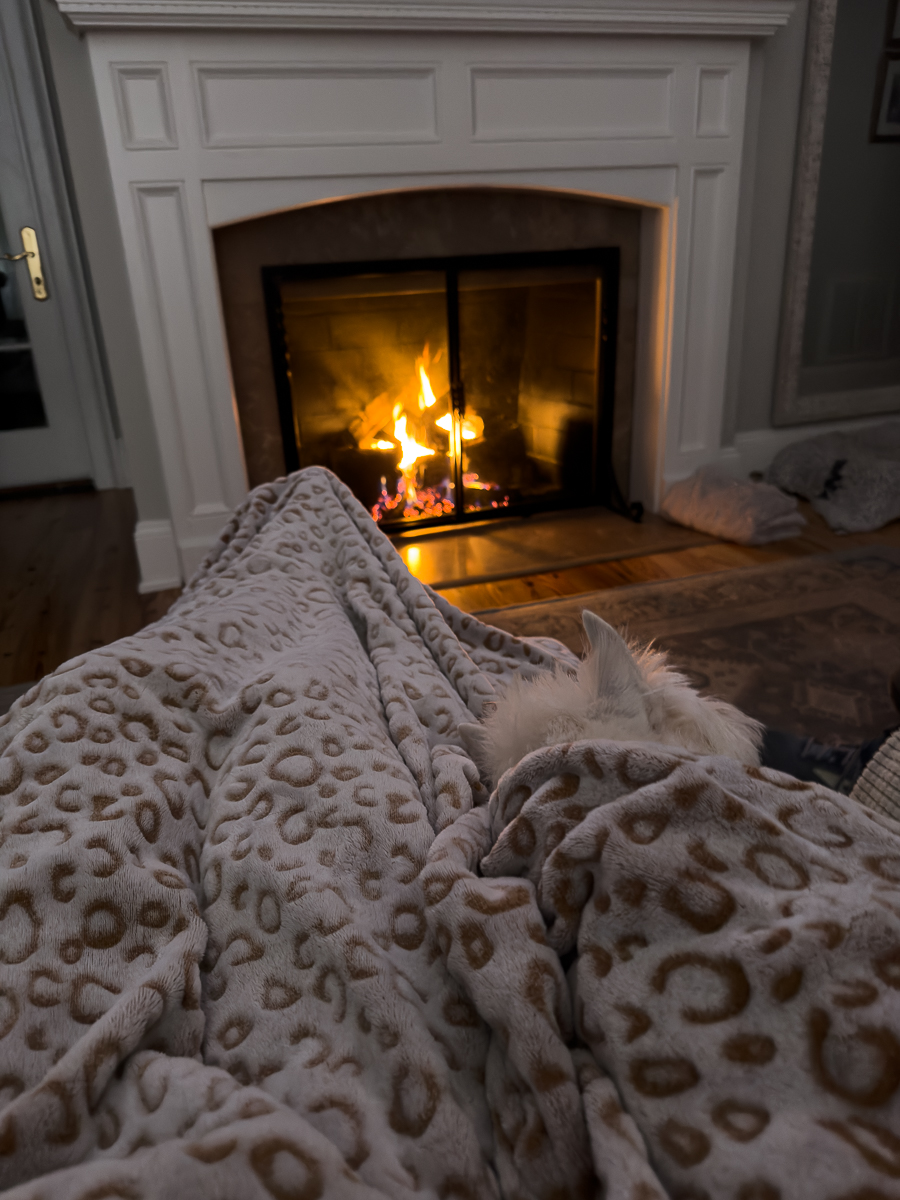 bentley with fireplace and leopard blanket