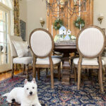 dog in dining room