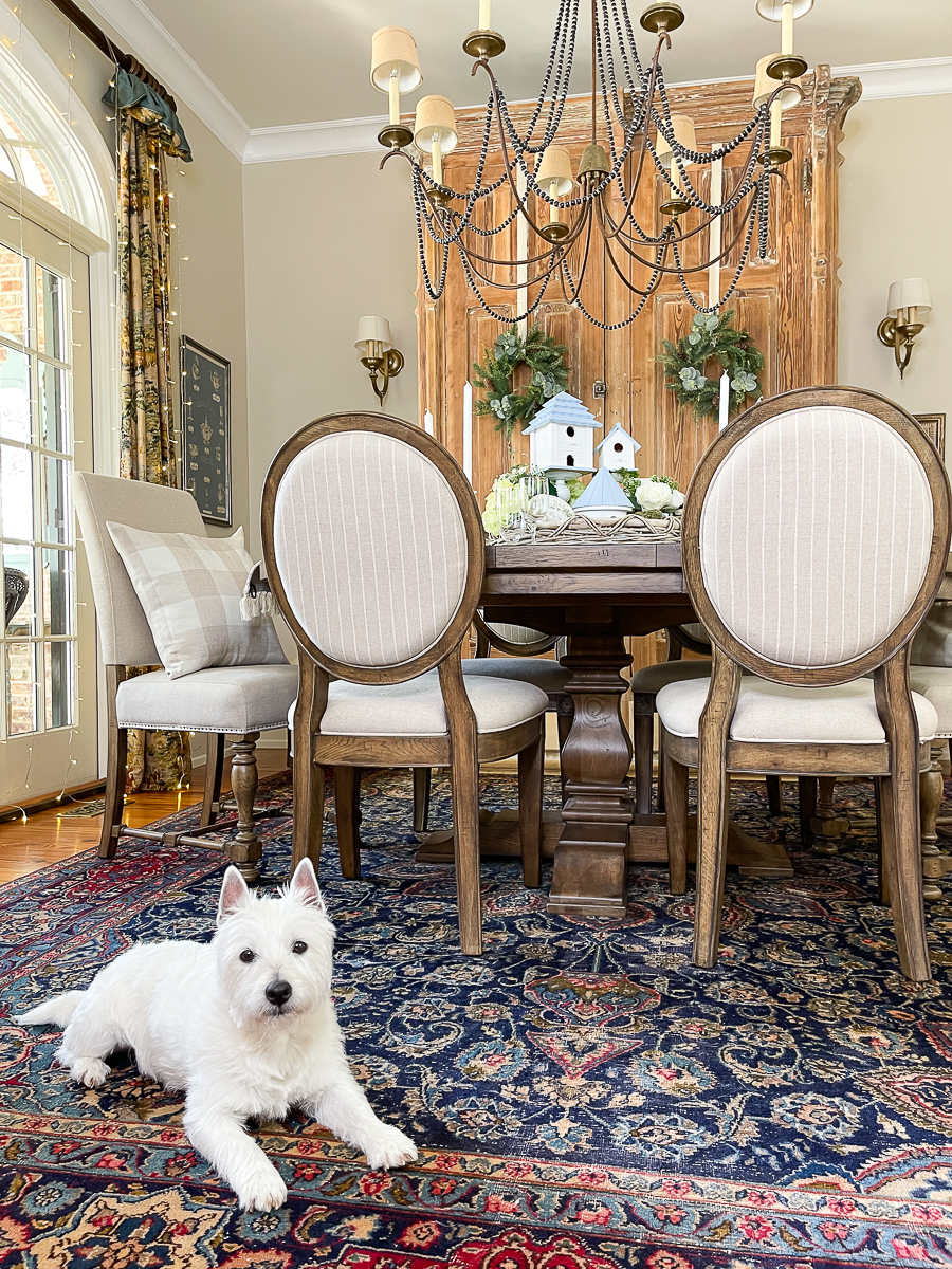 dog in dining room