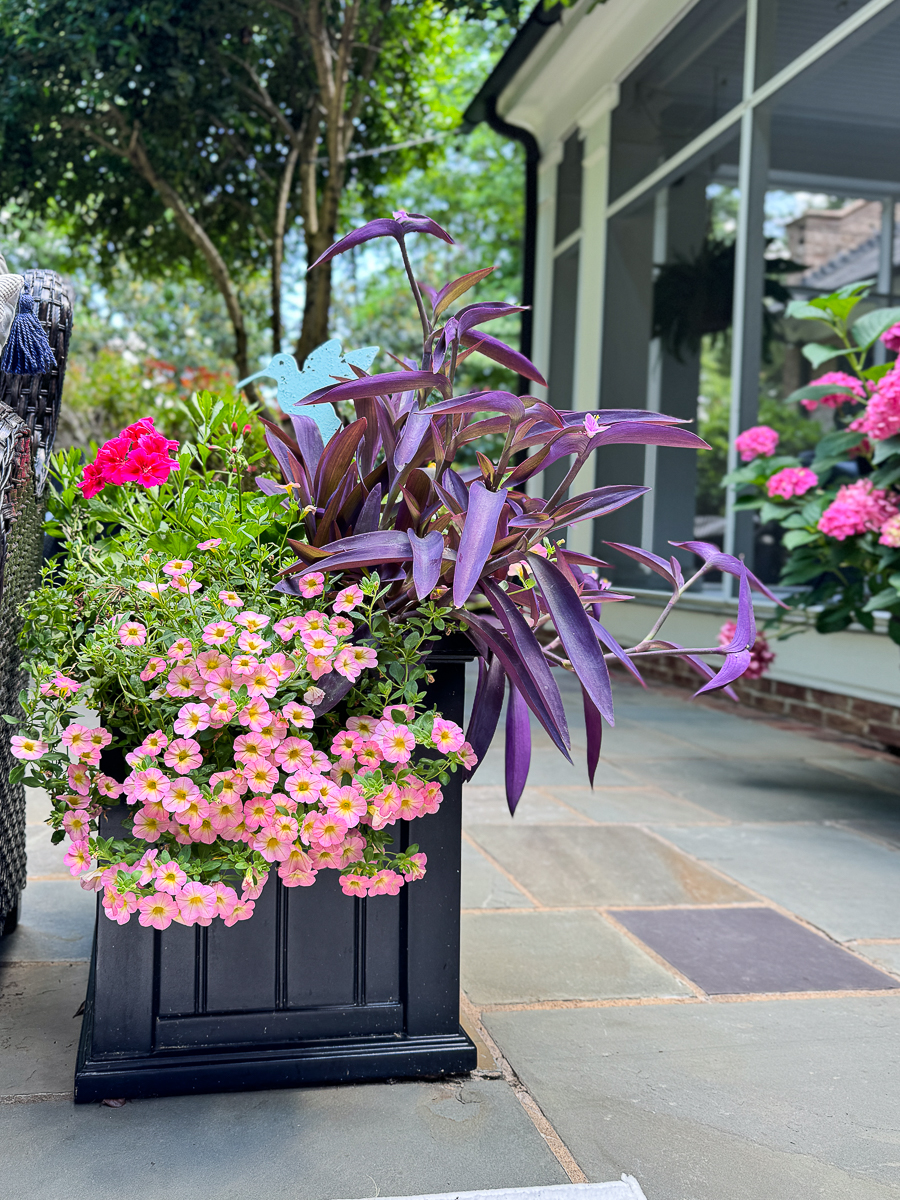 container garden