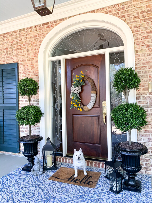 front porch with dog