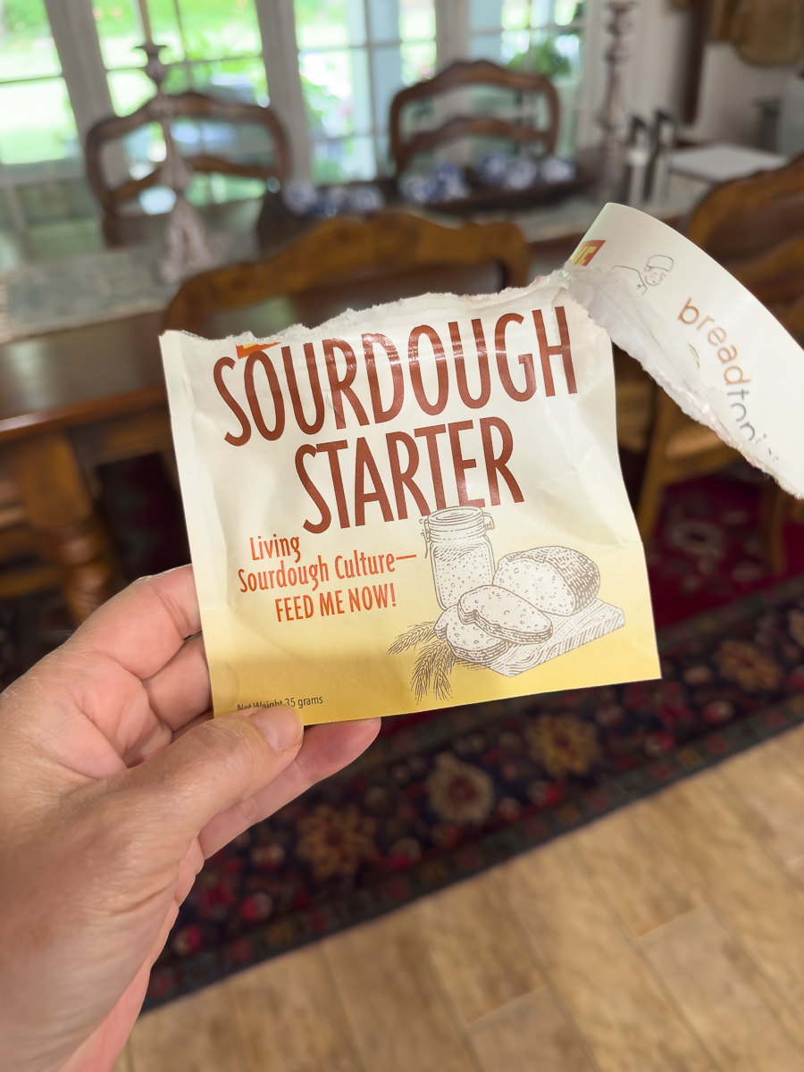 sourdough starter