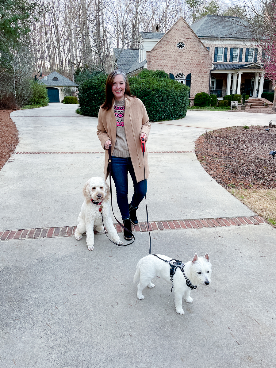 woman walking dogs