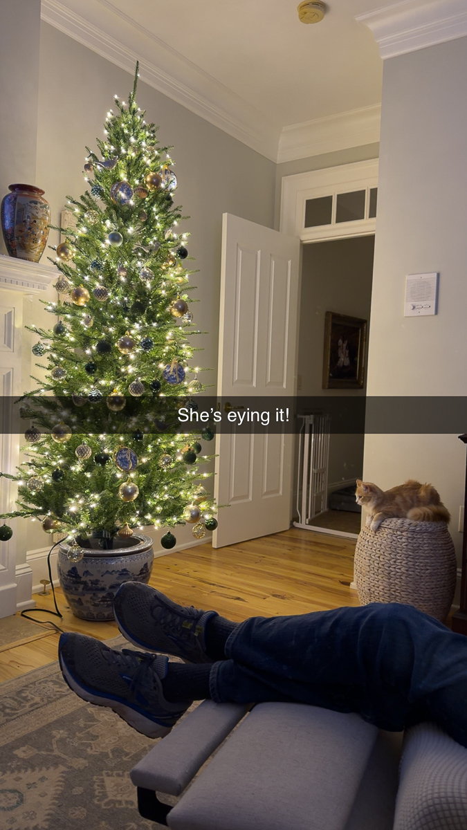 Chinoiserie Container for a Christmas Tree with cat watching