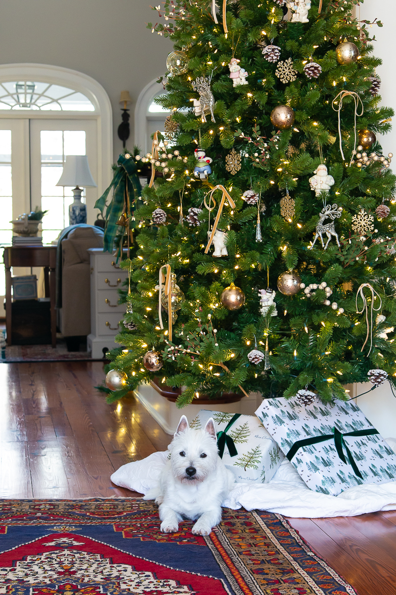 christmas tree in foyer