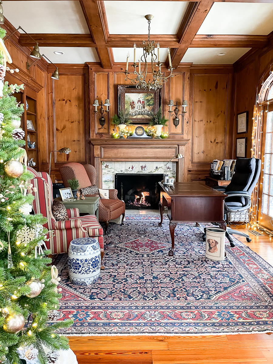 study dressed for christmas