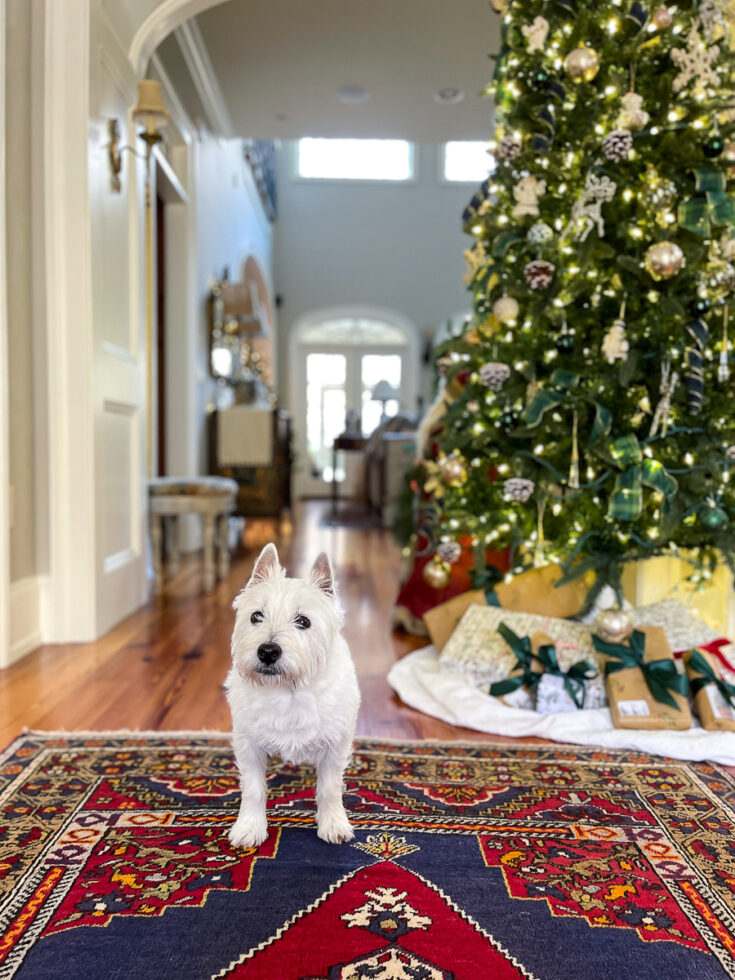 christmas decorated houses to visit