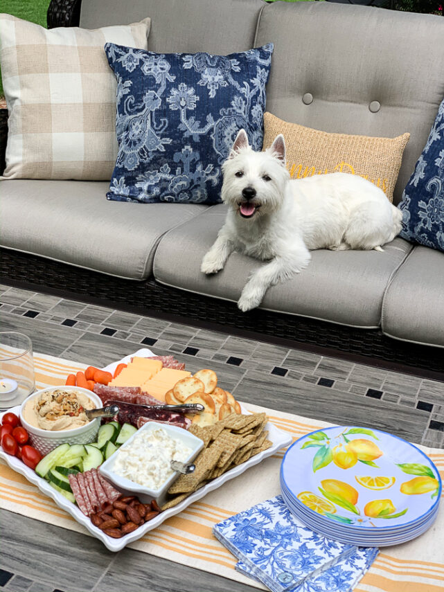 dog on the patio