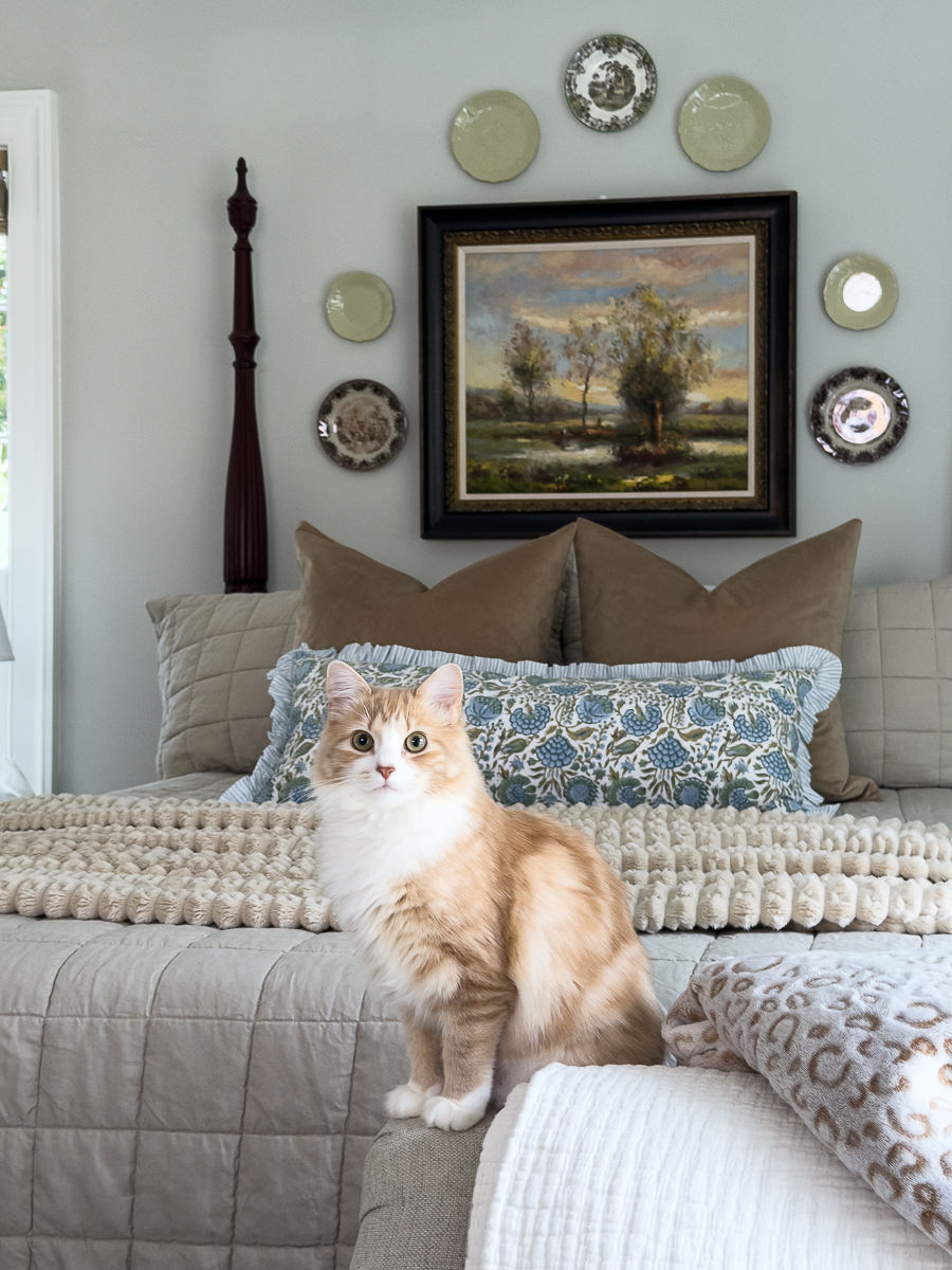 Orange and white kitten sitting on a bed with neutral bedding in a cozy bedroom.