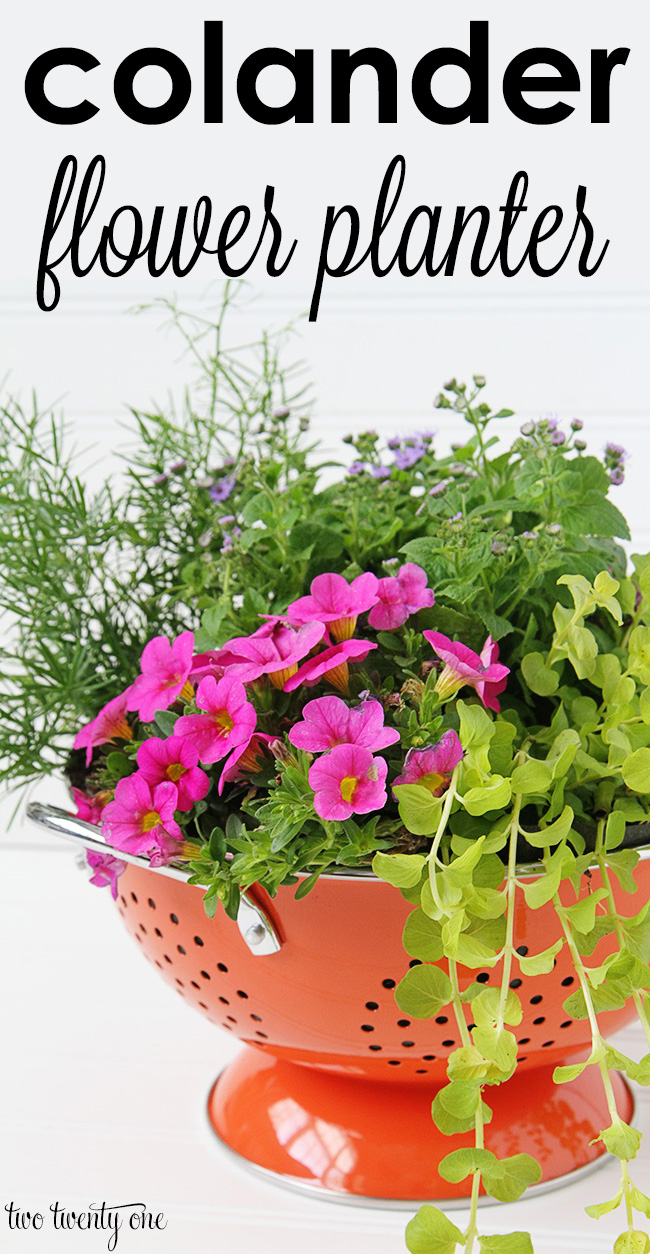 colander-flower-planter-1