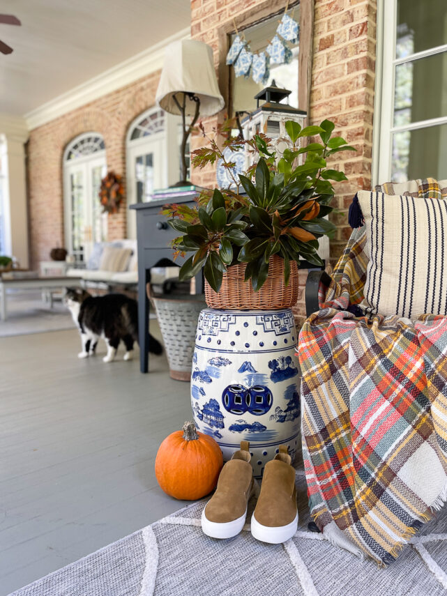 cat on a screened porch