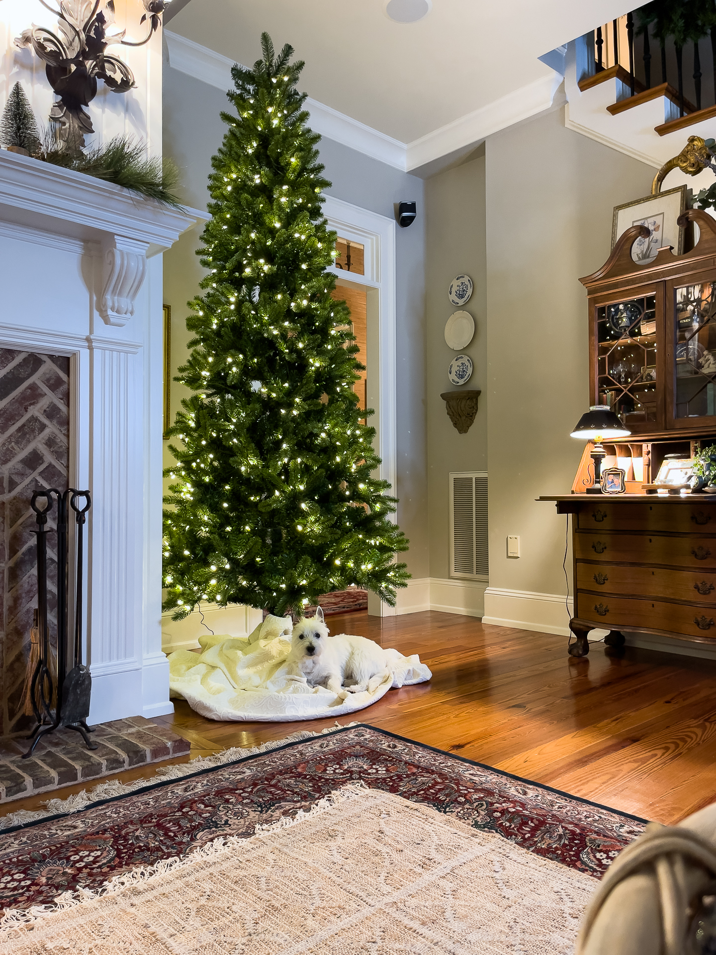 family room tree
