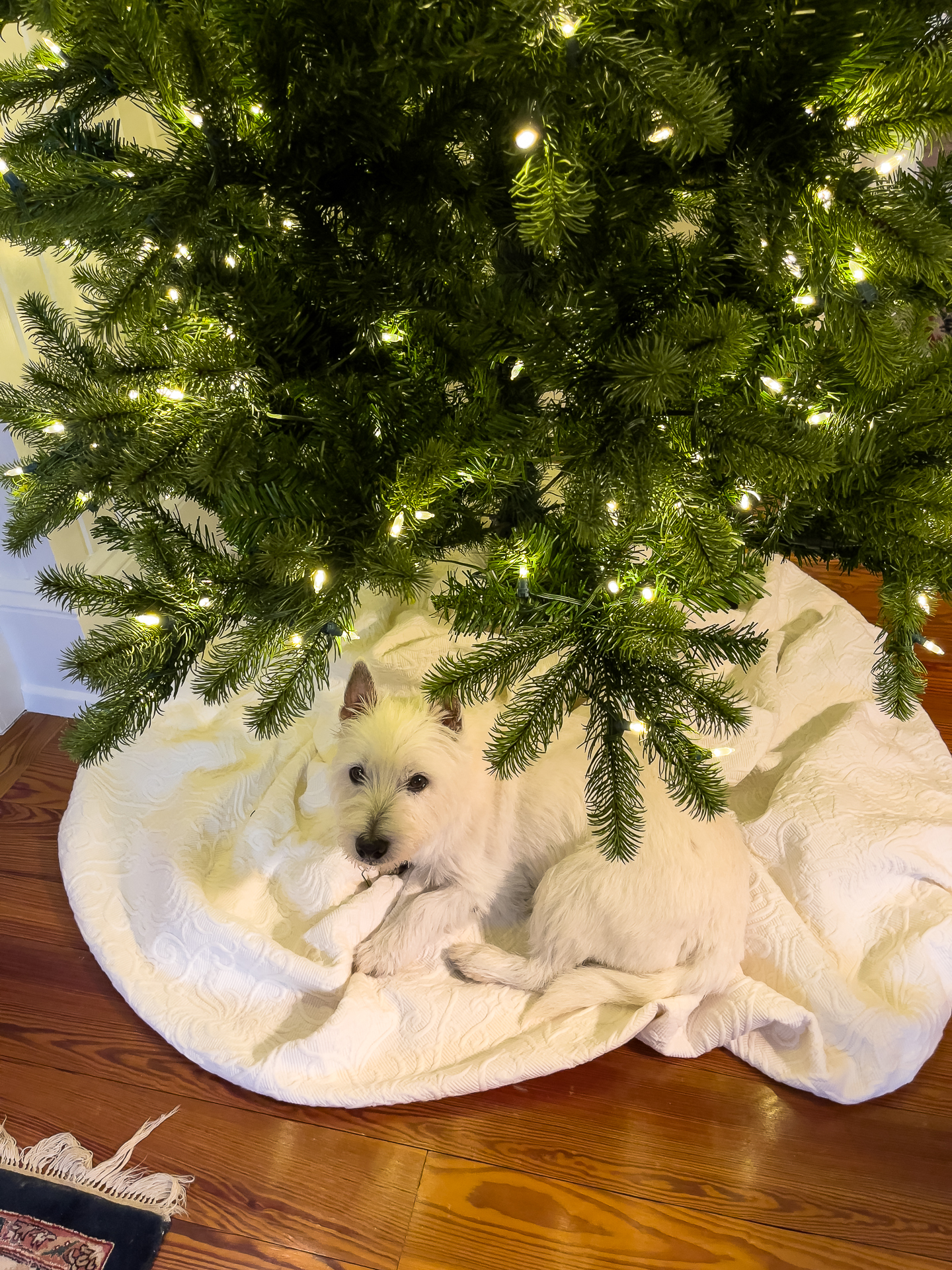 artificial Christmas tree