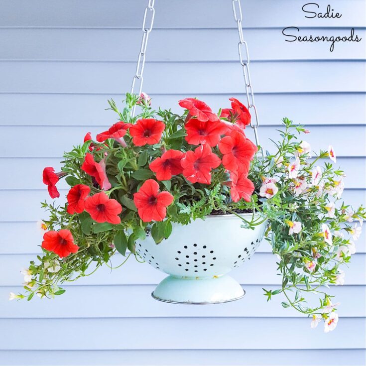 Image for Enamel Colander as a Hanging Porch Planter