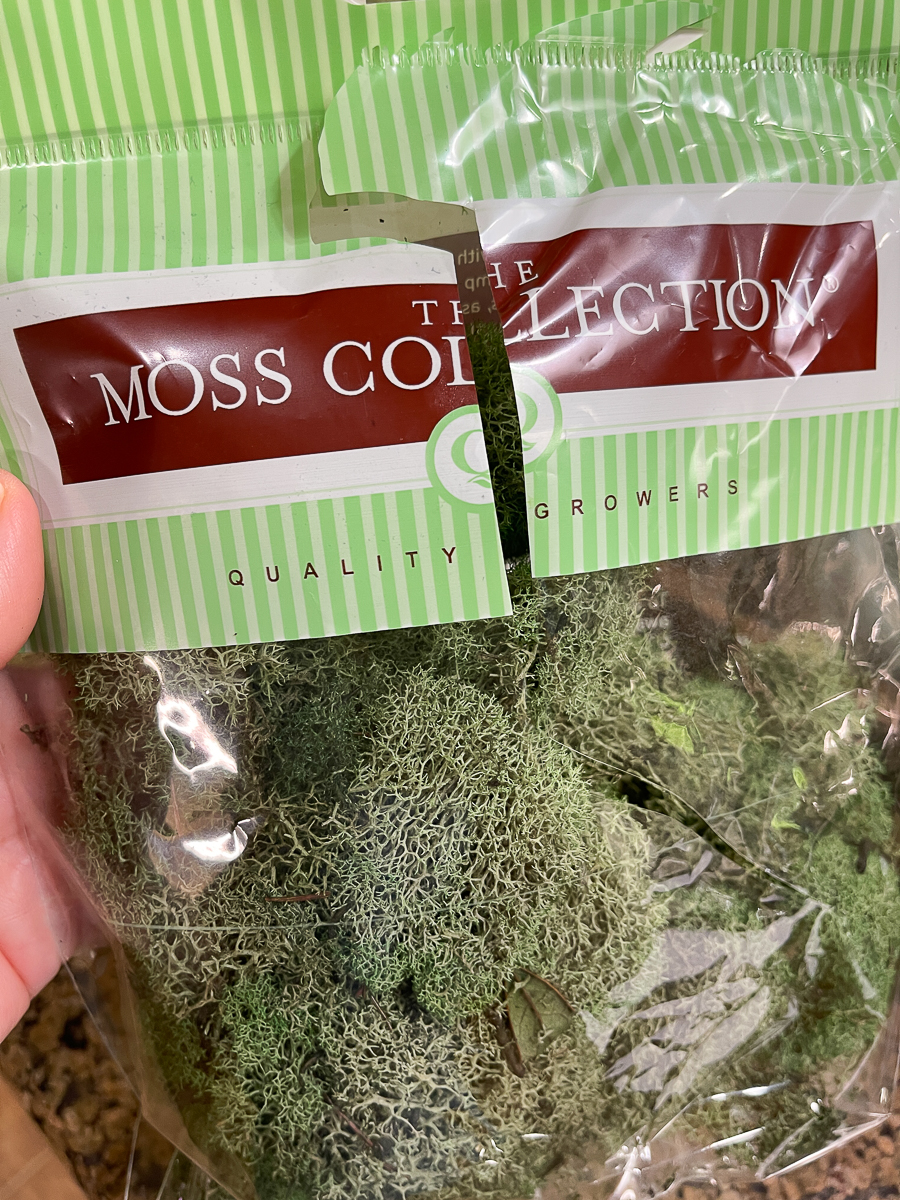 moss