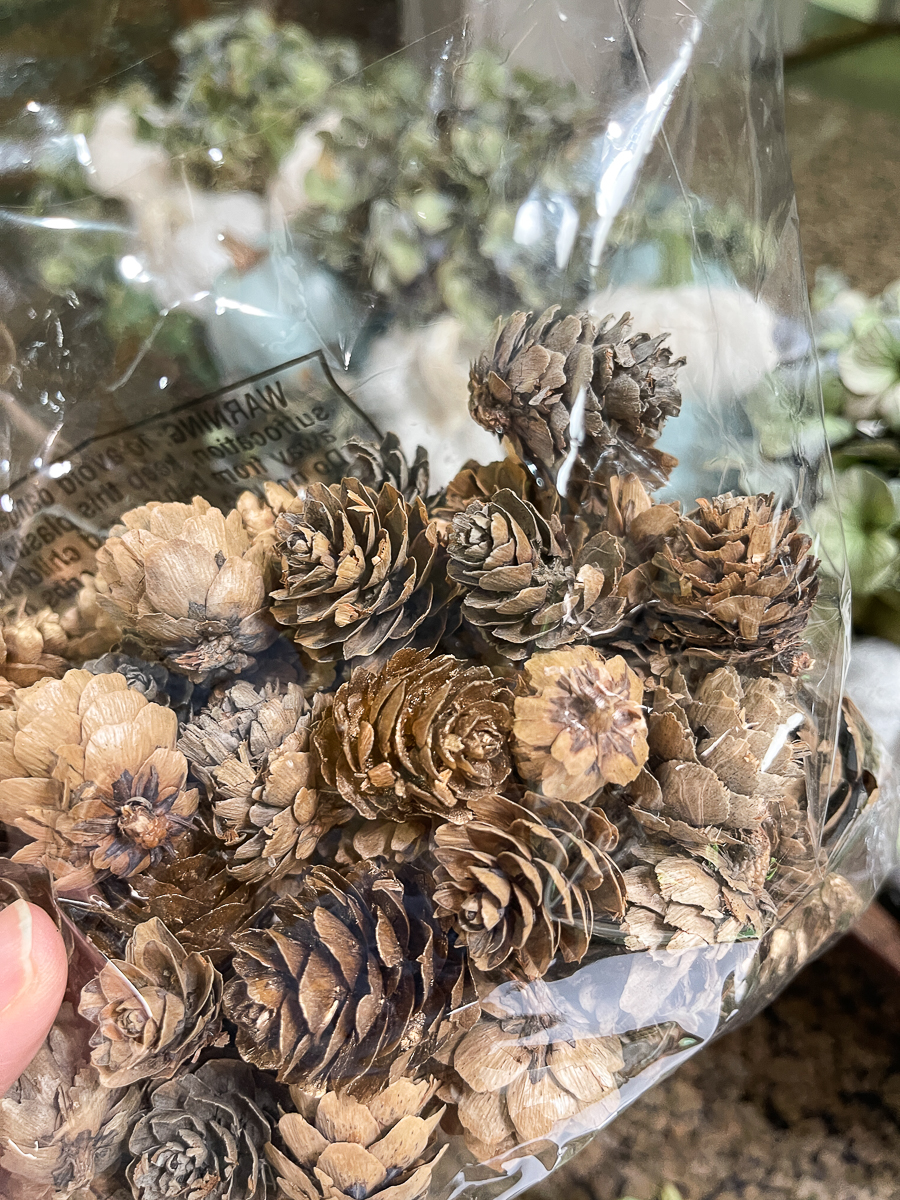 small pinecones