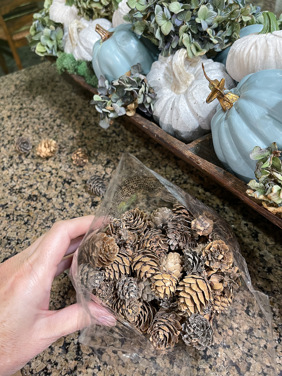 pinecones