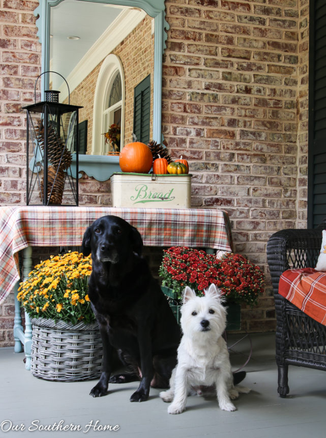 Fall home tour full of ideas for your porch and vignettes within you house via Our Southern Home