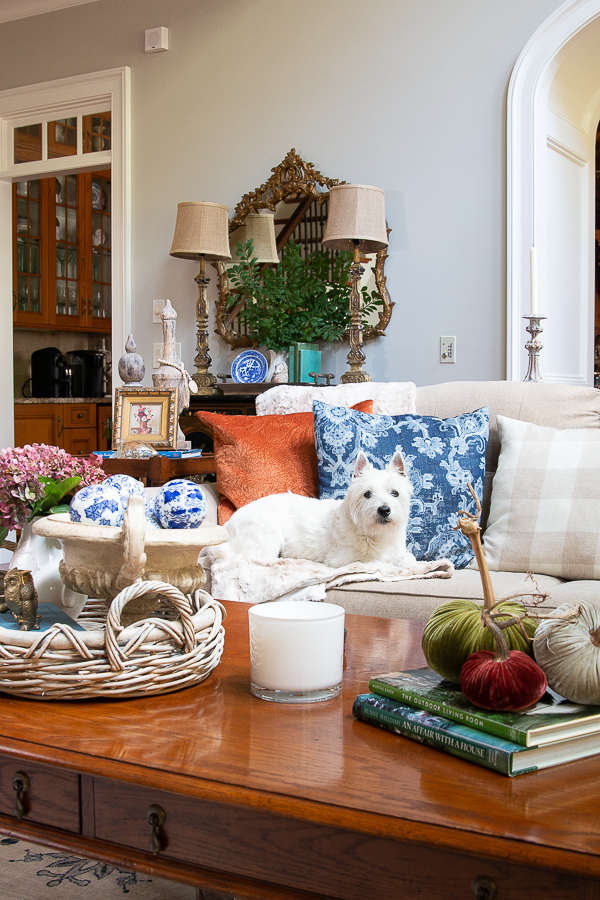 couch dressed for fall with dog