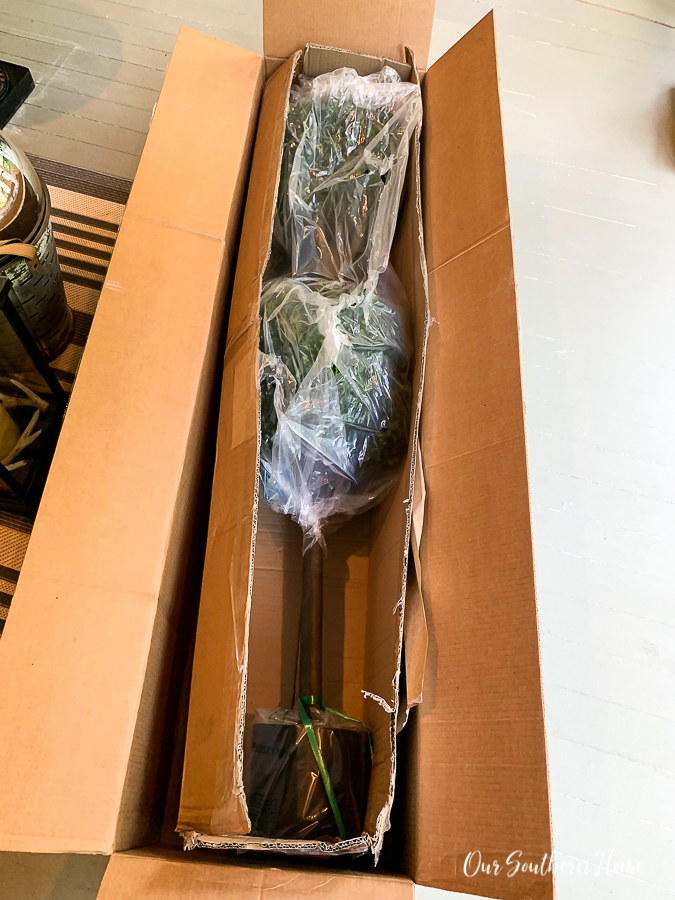 topiary in box