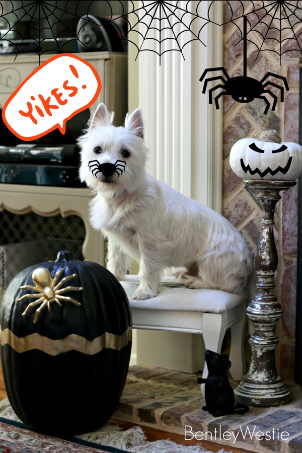 Halloween mantel for #DecorEnthusiast monthly challenge. This go around is One Space, Three Ways {Holiday Edition}