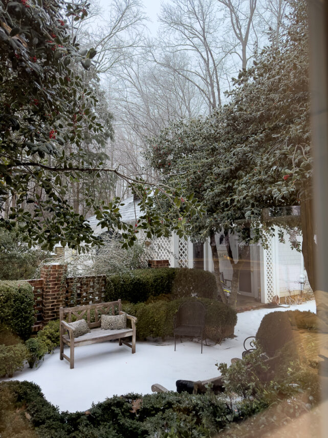 Trees covered in ice after a winter storm in South Carolina