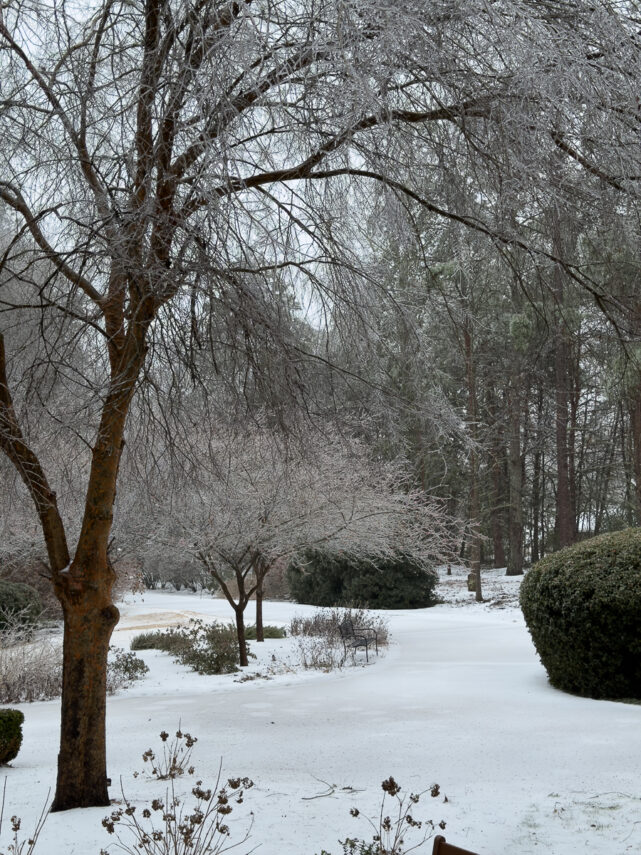 Snow and ice covering a front walkway during a winter storm
