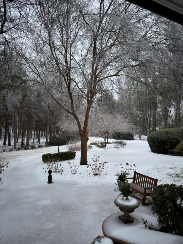 Snow and ice covering a front walkway during a winter storm