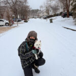 Residential neighborhood covered in ice after a winter storm
