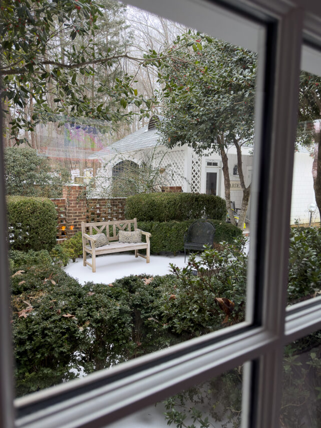 Garden and shrubs coated in ice after a winter storm