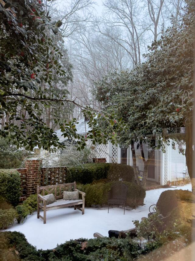 Ice-covered trees seen through a window during a winter storm