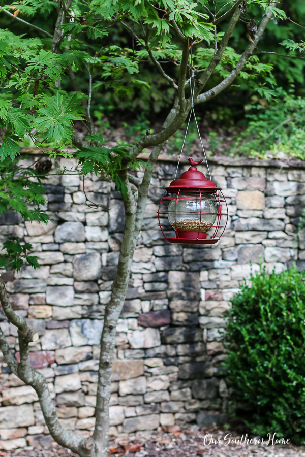 bird feeder