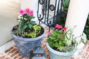 Adding pop of color to the front porch with plants from Monrovia. Great ideas for updating old pots and planting pots. #monrovia #ad