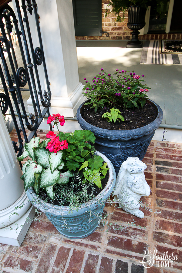 Adding pop of color to the front porch with plants from Monrovia. Great ideas for updating old pots and planting pots. #monrovia #ad