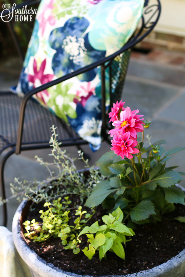 DIY faux aged concrete painted pot makeover! Save money and refresh what you have with paint!