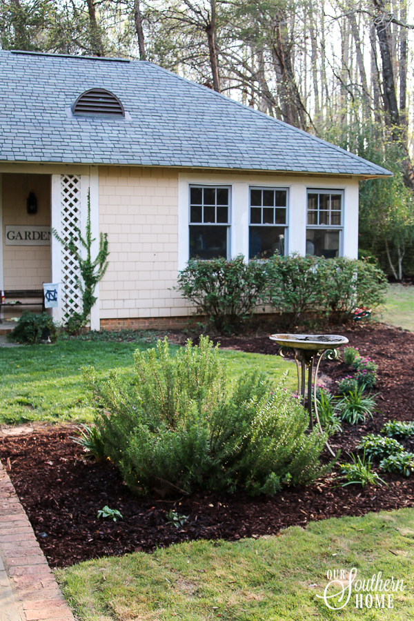 Monrovia Spring Plantings