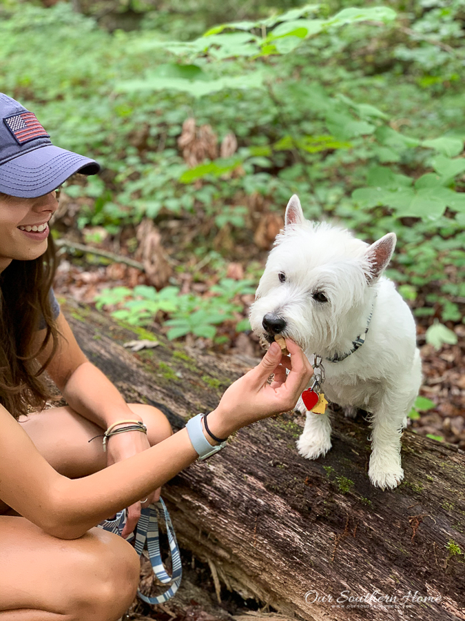 girl feeding a dog snacks