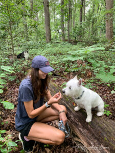 dog getting a treat