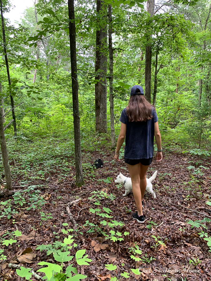 girls walking with dog in woods