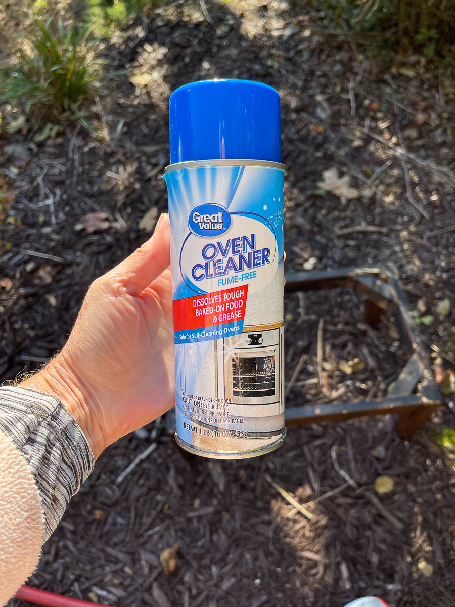 oven clean in woman's hand