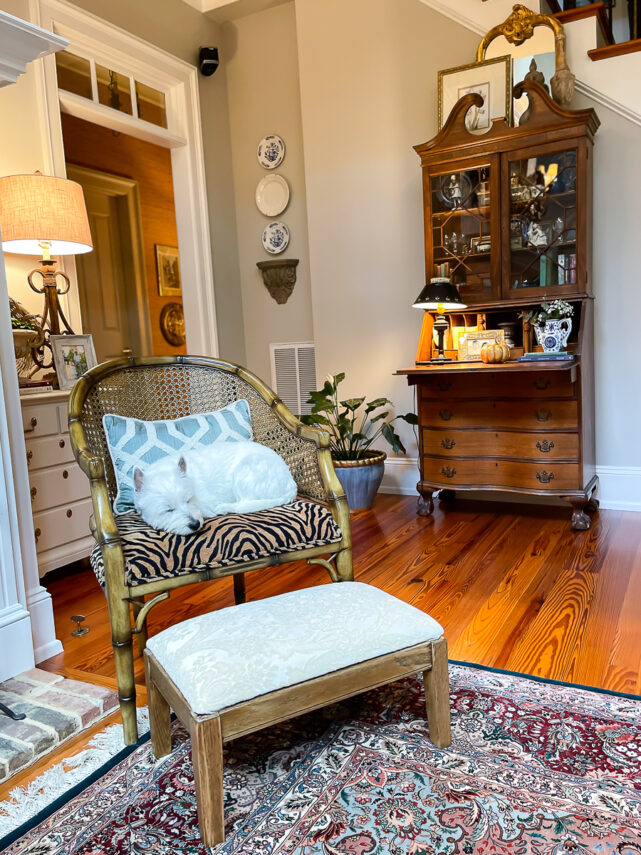 dog sleeping in chair