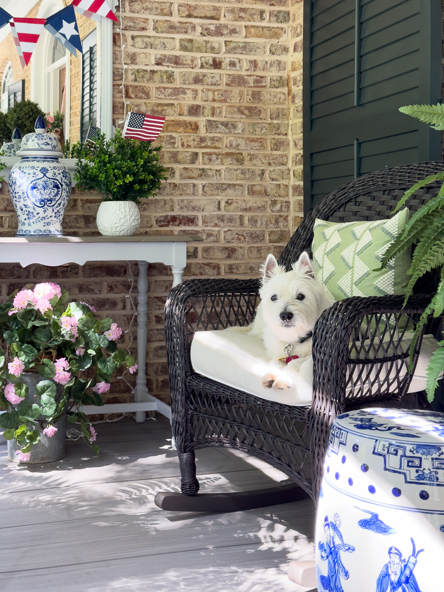 westie on rocker