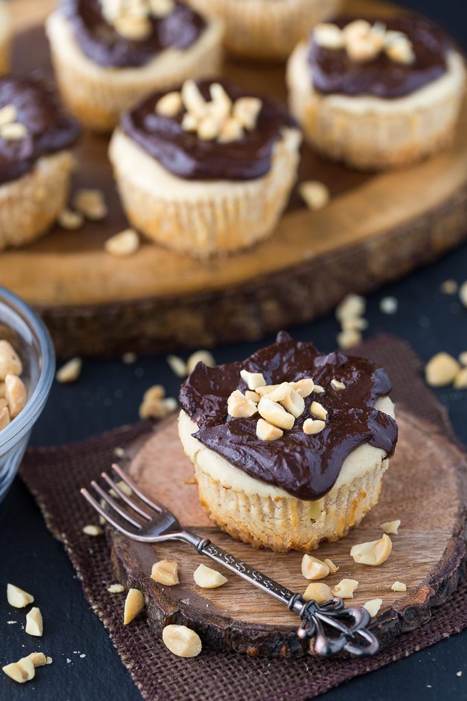 Mini Peanut Butter Cheesecakes with Chocolate Peanut Butter Sauce - You'll swoon over these mini cheesecakes! A shortbread cookie crust is topped with a rich, sweet peanut butter cheesecake filling and topped with a smooth and silky chocolate peanut butter sauce.
